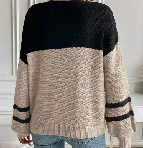 Color Block Striped Sleeve Sweater