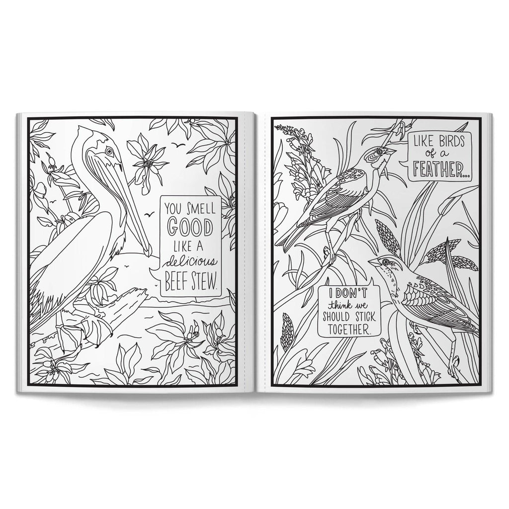 Salty Birds Coloring Book