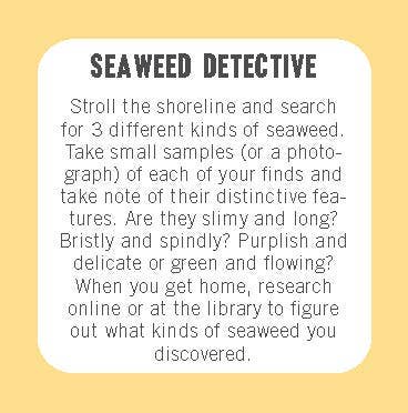 50 Swell Things to Do at the Beach